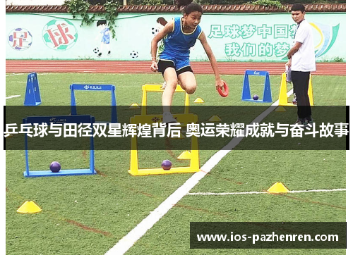 乒乓球与田径双星辉煌背后 奥运荣耀成就与奋斗故事