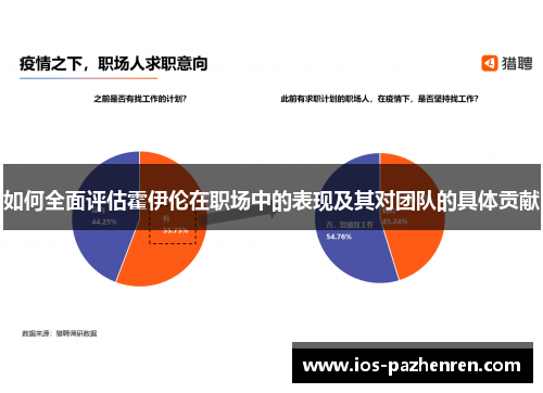如何全面评估霍伊伦在职场中的表现及其对团队的具体贡献