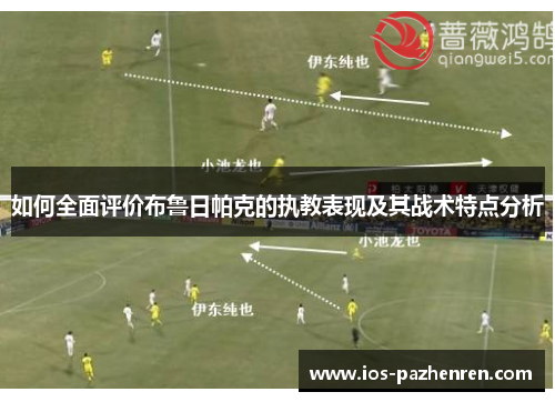 如何全面评价布鲁日帕克的执教表现及其战术特点分析