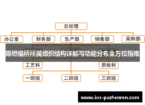 斯坦福桥所属组织结构详解与功能分布全方位指南