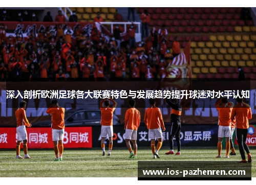 深入剖析欧洲足球各大联赛特色与发展趋势提升球迷对水平认知