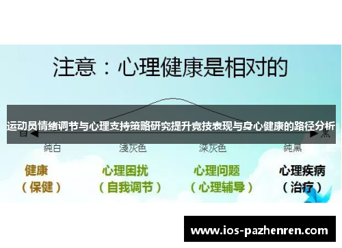 运动员情绪调节与心理支持策略研究提升竞技表现与身心健康的路径分析