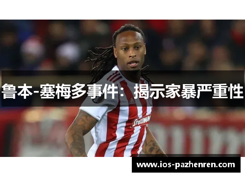 鲁本-塞梅多事件：揭示家暴严重性