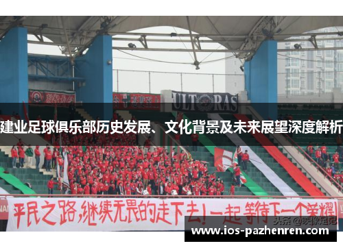 建业足球俱乐部历史发展、文化背景及未来展望深度解析