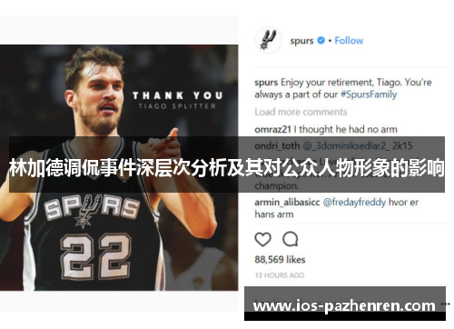 林加德调侃事件深层次分析及其对公众人物形象的影响 林加德调侃事件深层次分析及其对公众人物形象的影响