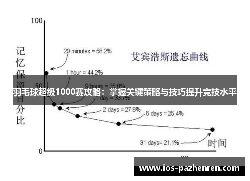 羽毛球超级1000赛攻略：掌握关键策略与技巧提升竞技水平