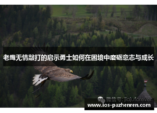 老鹰无情敲打的启示勇士如何在困境中磨砺意志与成长