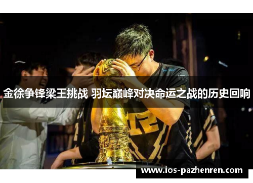 金徐争锋梁王挑战 羽坛巅峰对决命运之战的历史回响